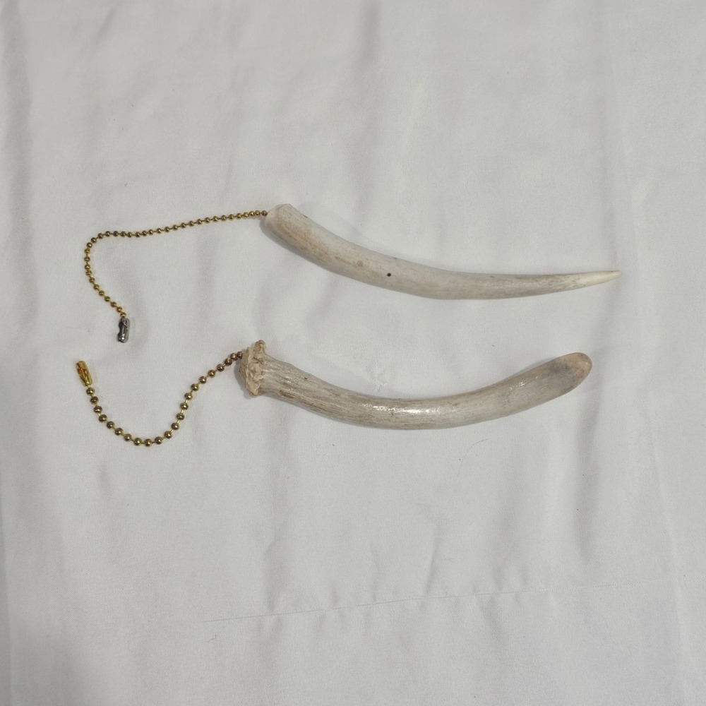 Natural White Tail Deer Horn Home Decor Rustic Cabin Country Cottagecore - Picture 2 of 5
